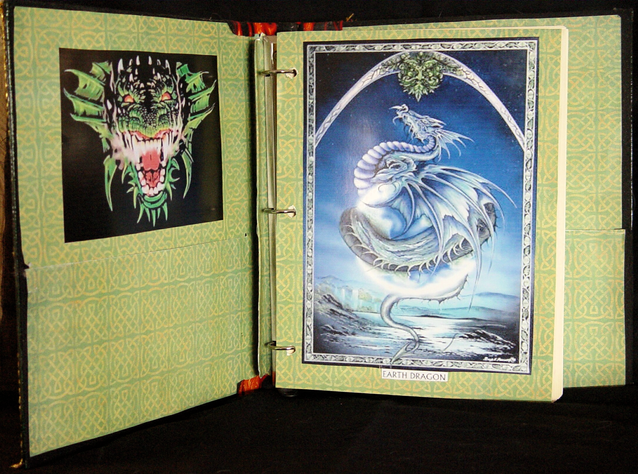 a9 green dragon front cover pages corel.
